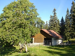 Chalet Neuf ( *** )