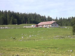 Chalet buvette les Croisettes (***)