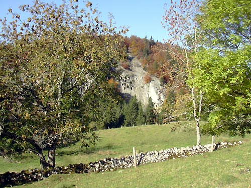 cliquez ici pour fermer la fen&ecirc;tre
