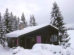 Cabane 