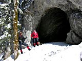 Cliquer pour agrandir