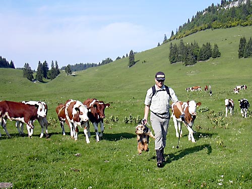 cliquez ici pour fermer la fen&ecirc;tre