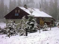 Maison/chalet typique des Loges  ( **** )