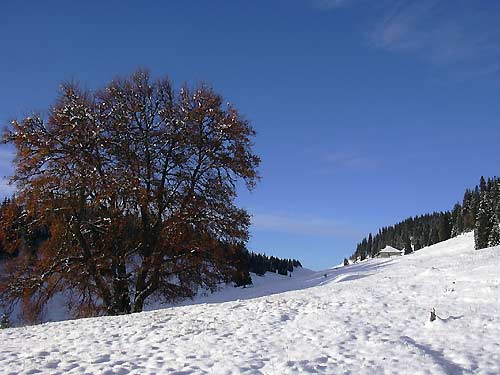 cliquez ici pour fermer la fen&ecirc;tre