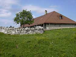 Chalet des Riondes Dessus  ( **** )