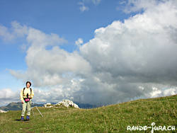 Cliquer pour agrandir