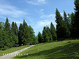 Randonn&eacute;es dans le Jura, Mont d'Or