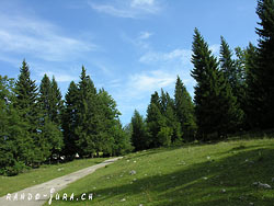 Cliquer pour agrandir