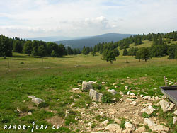 Cliquer pour agrandir
