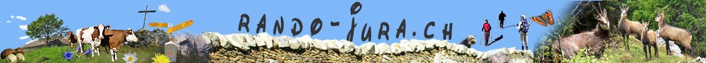 dewarrat.com randos, rando, randonn&eacute;es, marches, raquettes, ski dans le parc Jurassien Vaudois